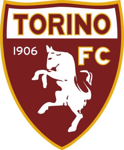 Hotel vicino stadio Olimpico Torino. Pacchetti hotel più biglietti per lo stadio per partite Torino Calcio